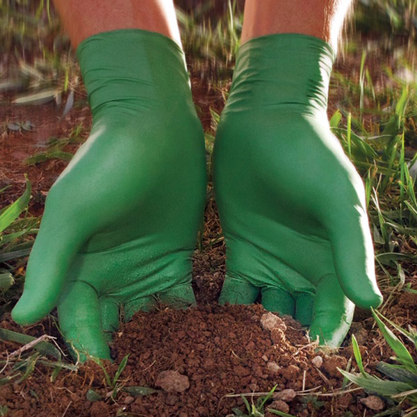 Biodegradable Glove - Medium