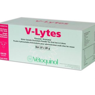 V-Lytes - 20 X 80GR