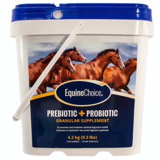 Equine Choice Supplement - 4.2KG