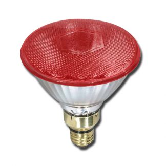 Heat Lamp Bulb - Red 175W