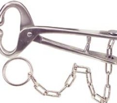 Lead With 15" Chain - Bull