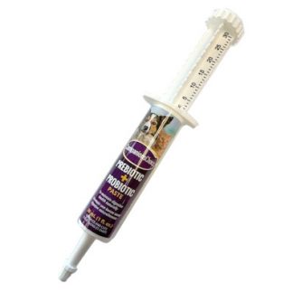 Companions Choice Prebiotic + Probiotic Paste - 30cc