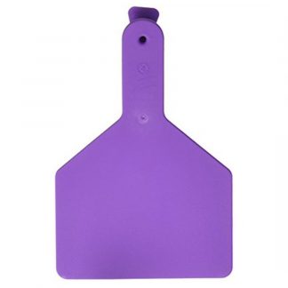 Z-Tag Purple
