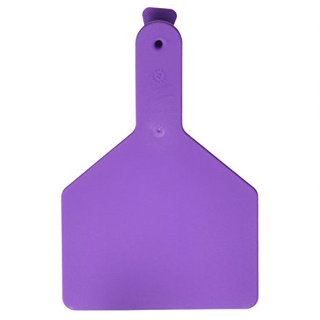 Z-Tag Purple