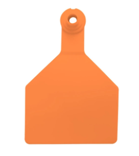 Z-Tag 2 Piece Tag - Cow (Orange)