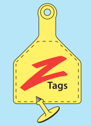 Z-Tag 2 Piece Tag - Calf (Orange) - Image 3