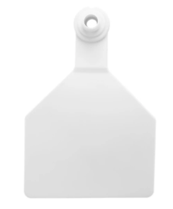 Z-Tag 2 Piece Tag - Calf (White)