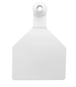 Z-Tag 2 Piece Tag - Cow (White)