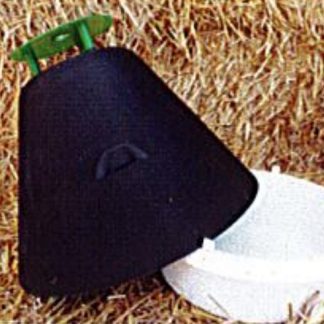 Darkling Beetle Trap