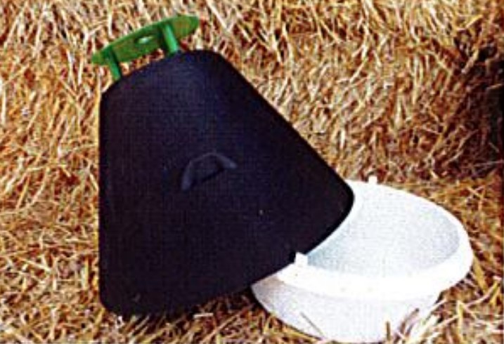 Darkling Beetle Trap