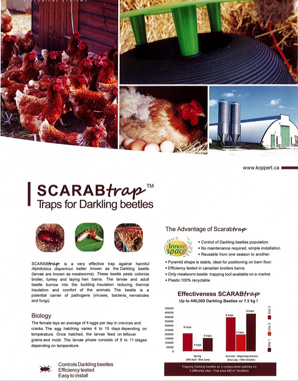 Darkling Beetle Trap