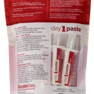DAY 1 PASTE - DAIRYMANS CHOICE (10/PKG)