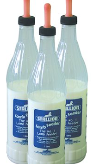Stallion Lamb Bottle 1L With 1 Teat