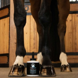 ARGENTHOOF Premium Hoof Dressing - 473ml