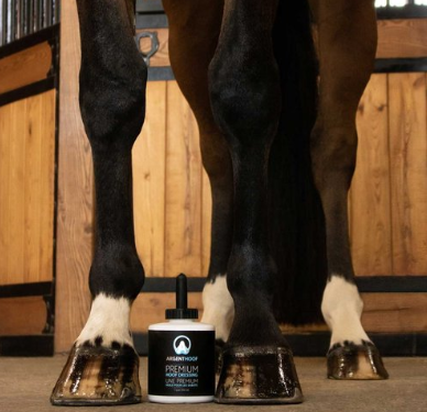 ARGENTHOOF Premium Hoof Dressing - 946ml - Image 2